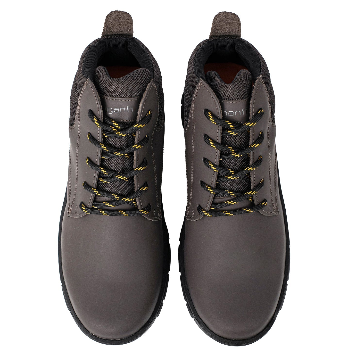 BORCEGO BISHOP MARRON