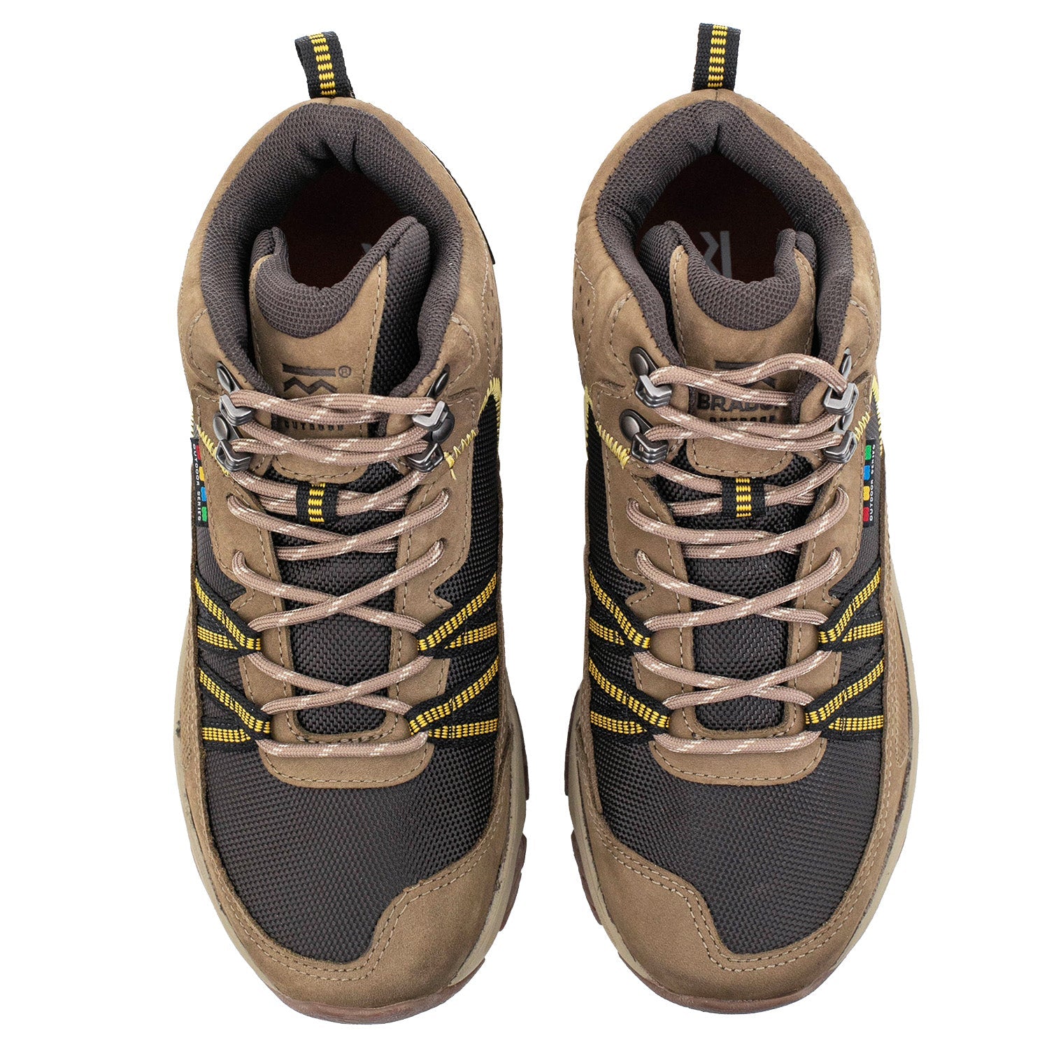 BORCEGO SHASTA VISÓN