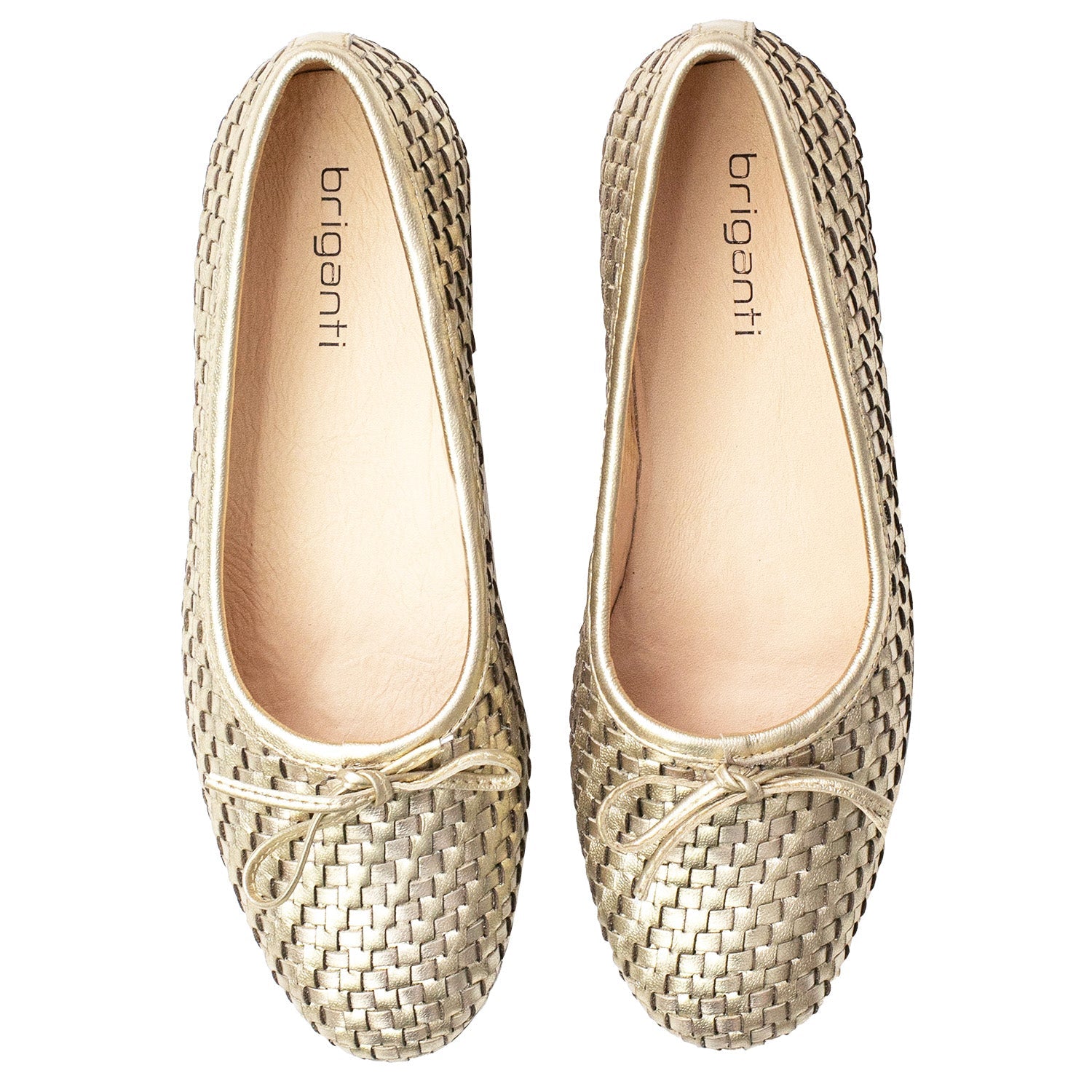 CHATITA PETUNIA PLATINO