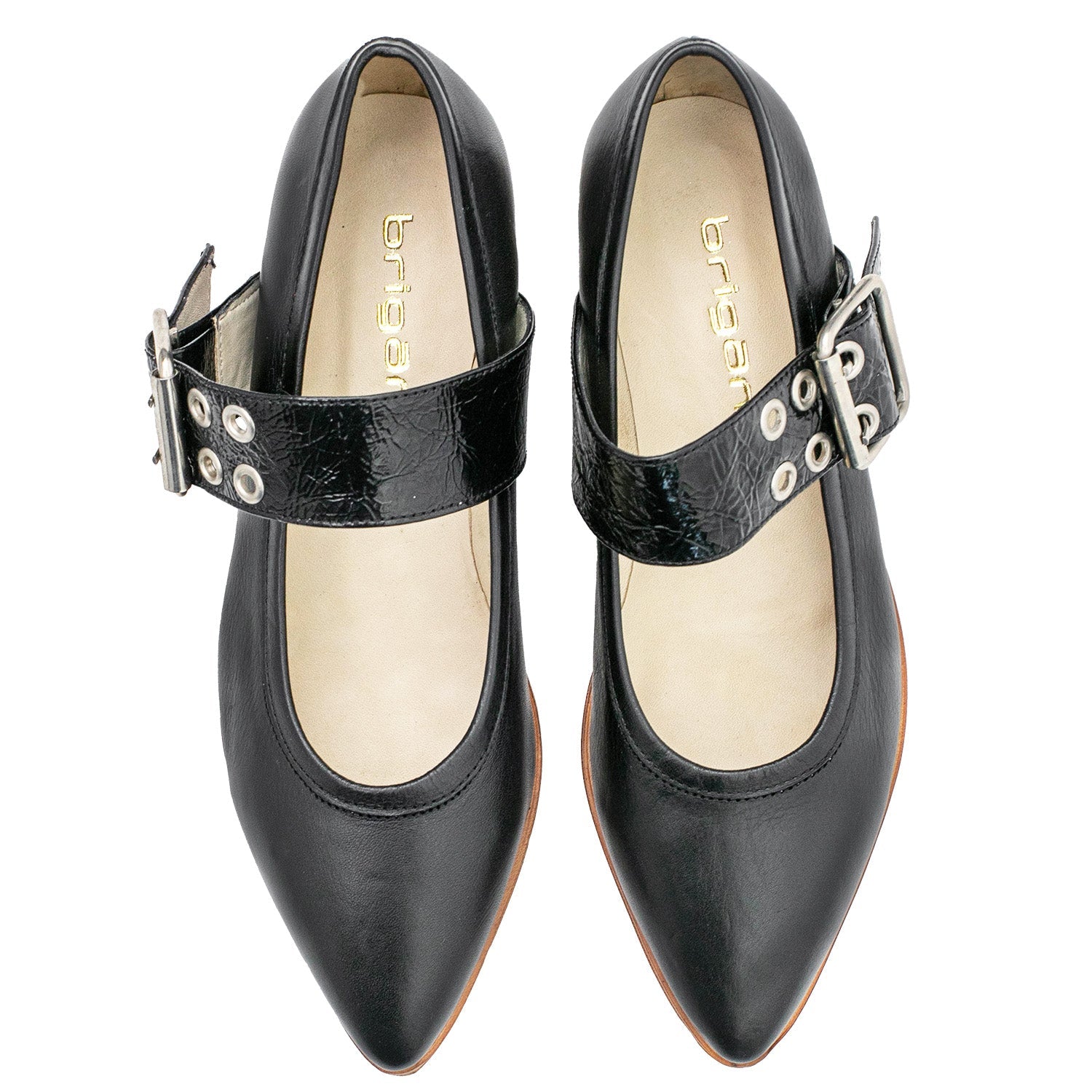 CHATITA AZALEA NEGRA