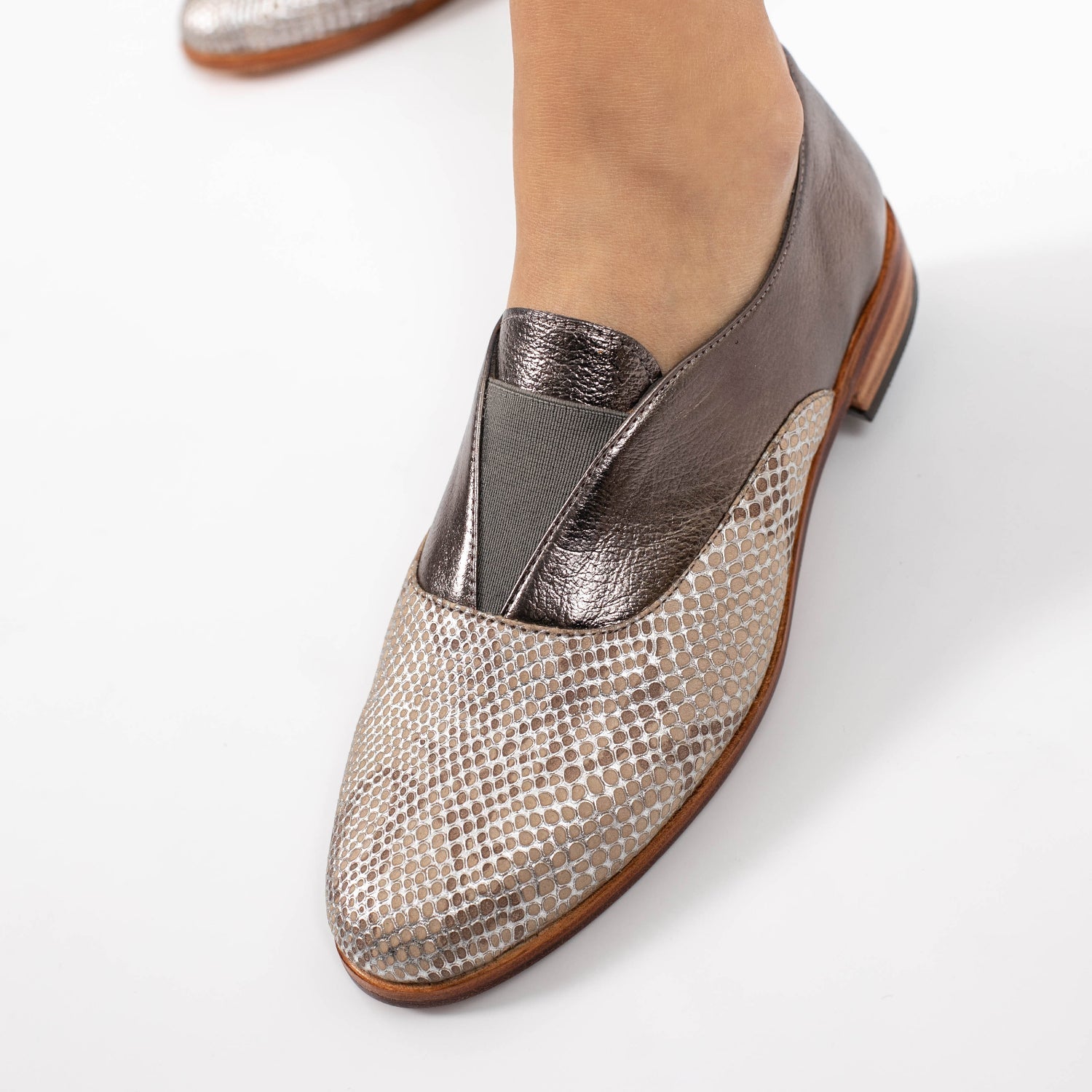 ABOTINADO BEGONIA PELTRE