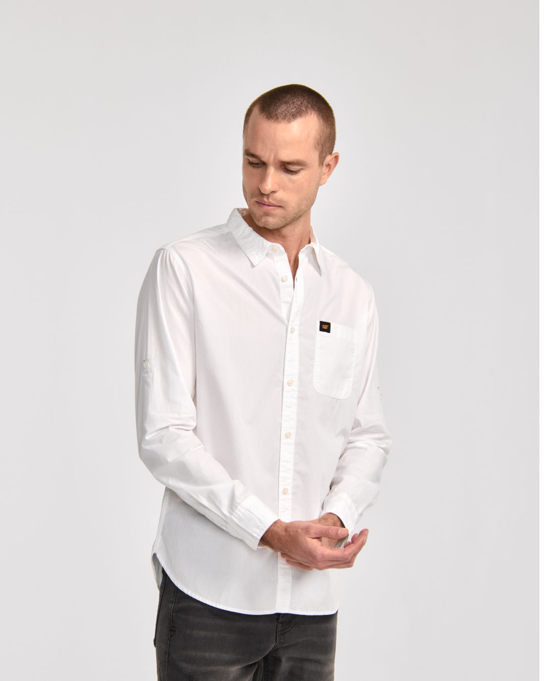 CAMISA FOUNDATION CONVERTIBLE