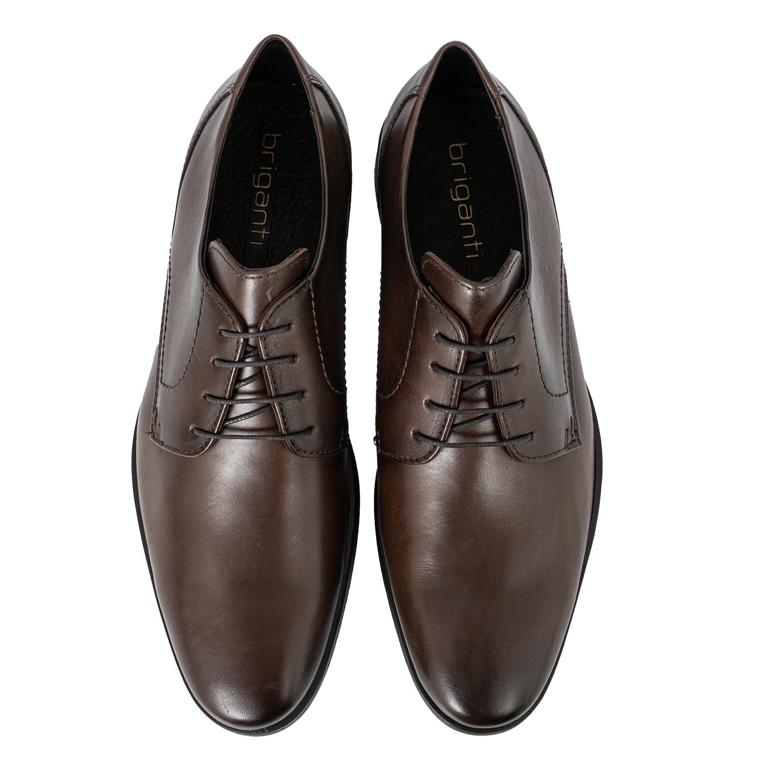 ZAPATO GRAYSON CHOCOLATE
